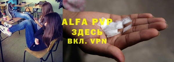 ECSTASY Алзамай